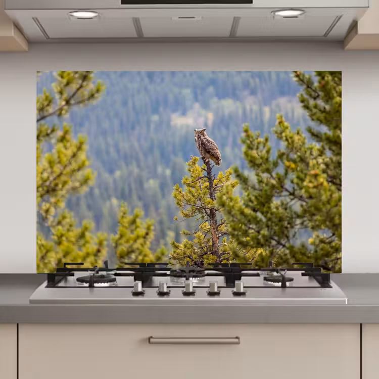 Spatscherm keuken - Uil - Oehoe - Bomen - Natuur — 1