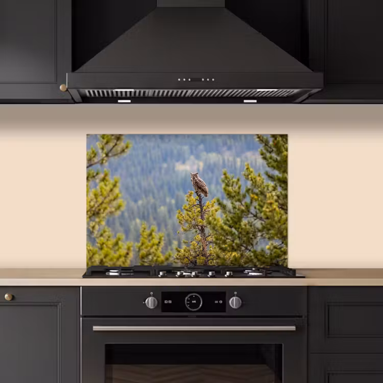 Spatscherm keuken - Uil - Oehoe - Bomen - Natuur — 2