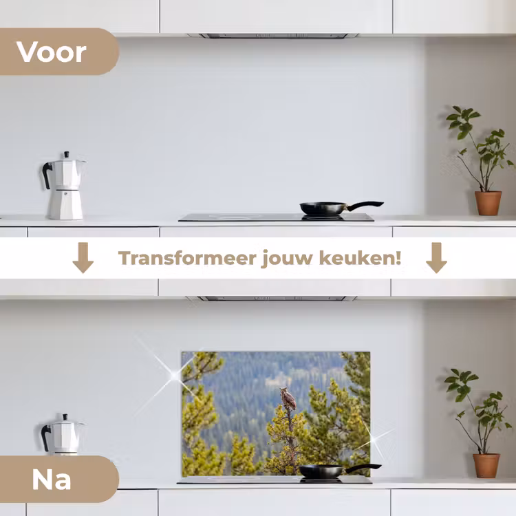 Spatscherm keuken - Uil - Oehoe - Bomen - Natuur — 3
