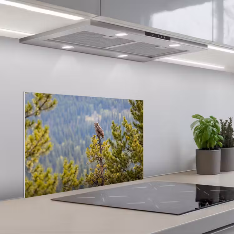 Spatscherm keuken - Uil - Oehoe - Bomen - Natuur — 5