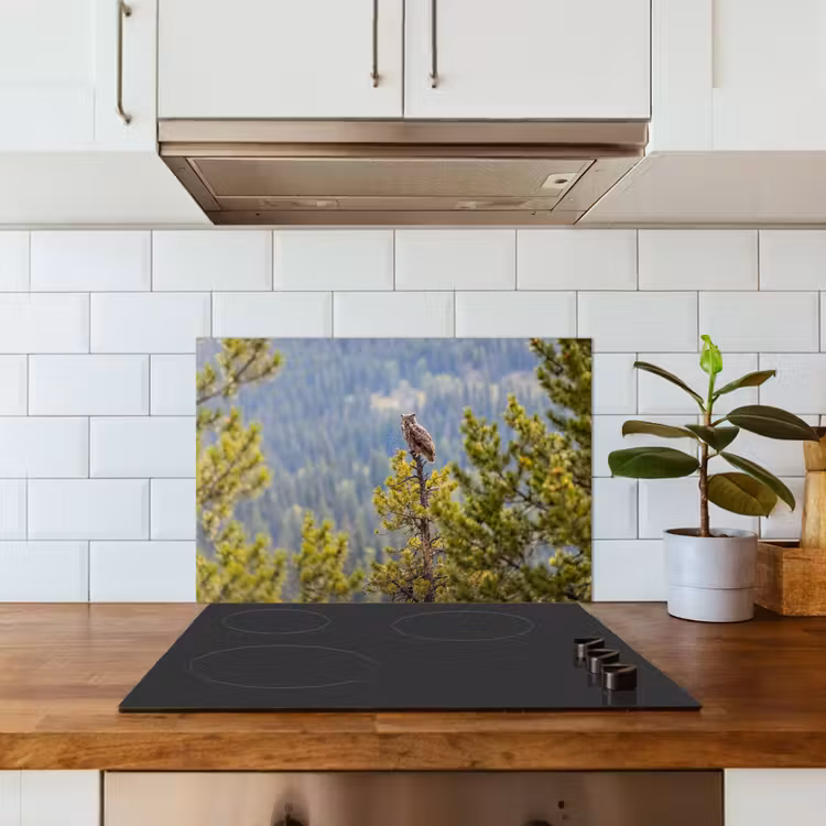 Spatscherm keuken - Uil - Oehoe - Bomen - Natuur — 6