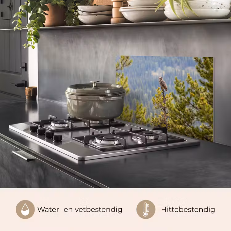 Spatscherm keuken - Uil - Oehoe - Bomen - Natuur — 7