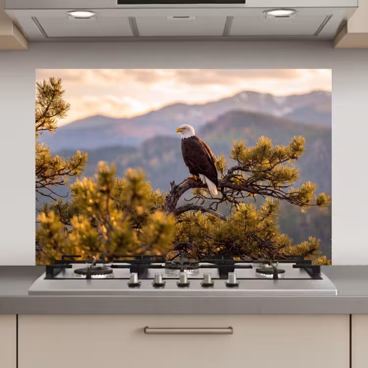 Spatscherm keuken - Zeearend - Boom - Bergen - Groen — 1