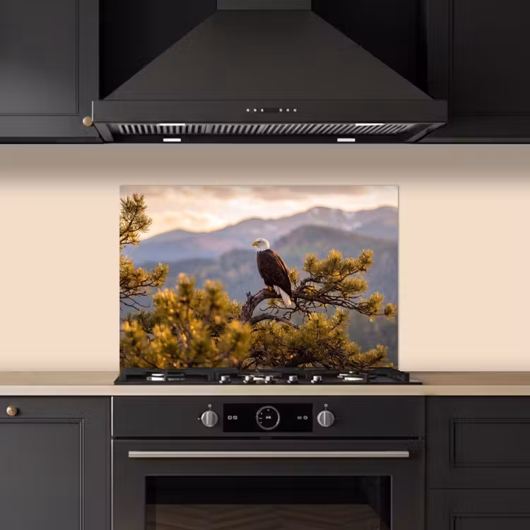 Spatscherm keuken - Zeearend - Boom - Bergen - Groen — 2
