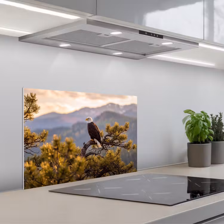 Spatscherm keuken - Zeearend - Boom - Bergen - Groen — 5