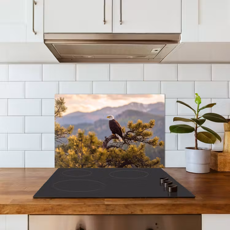 Spatscherm keuken - Zeearend - Boom - Bergen - Groen — 6