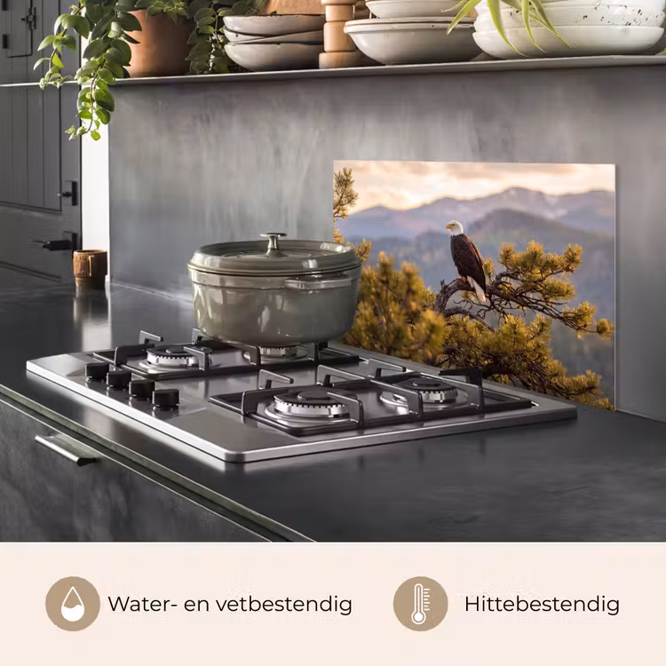 Spatscherm keuken - Zeearend - Boom - Bergen - Groen — 7