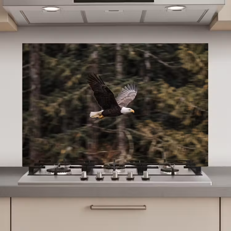 Spatscherm keuken - Zeearend - Vliegen - Bos - Natuur — 1