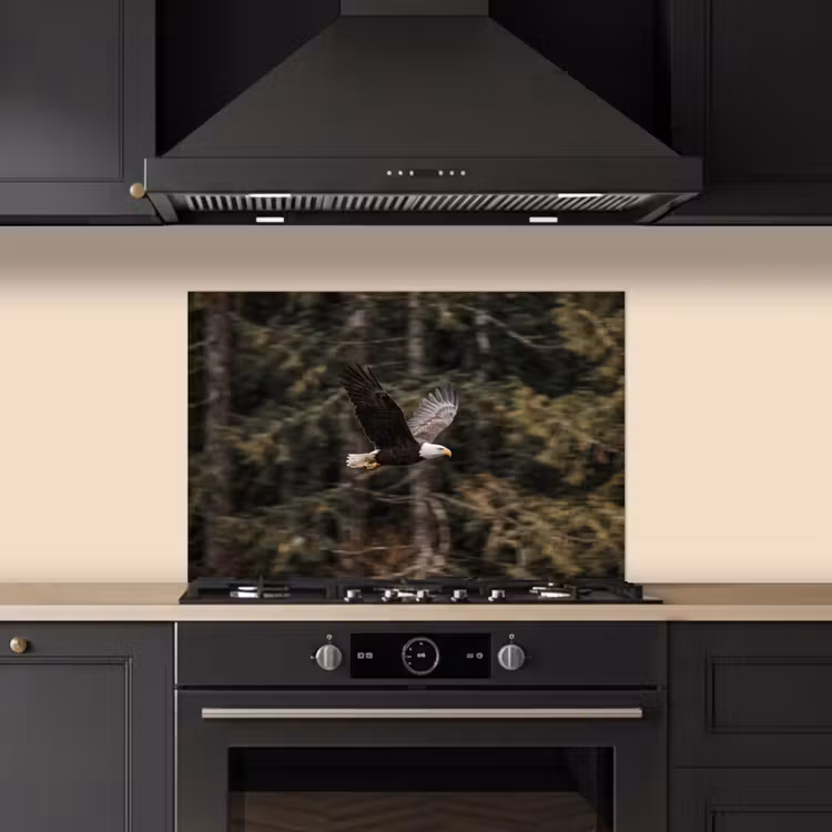 Spatscherm keuken - Zeearend - Vliegen - Bos - Natuur — 2