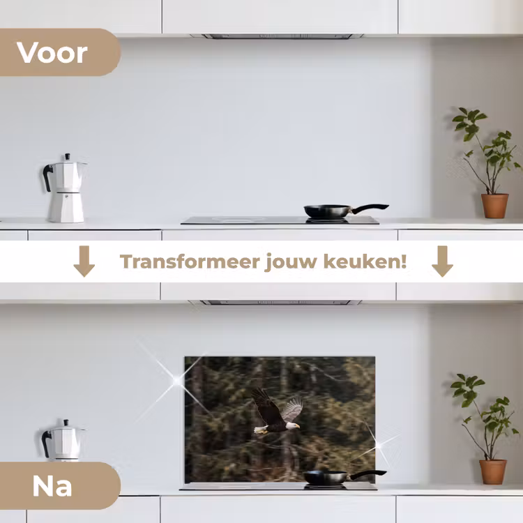 Spatscherm keuken - Zeearend - Vliegen - Bos - Natuur — 3