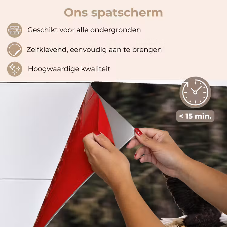 Spatscherm keuken - Zeearend - Vliegen - Bos - Natuur — 4