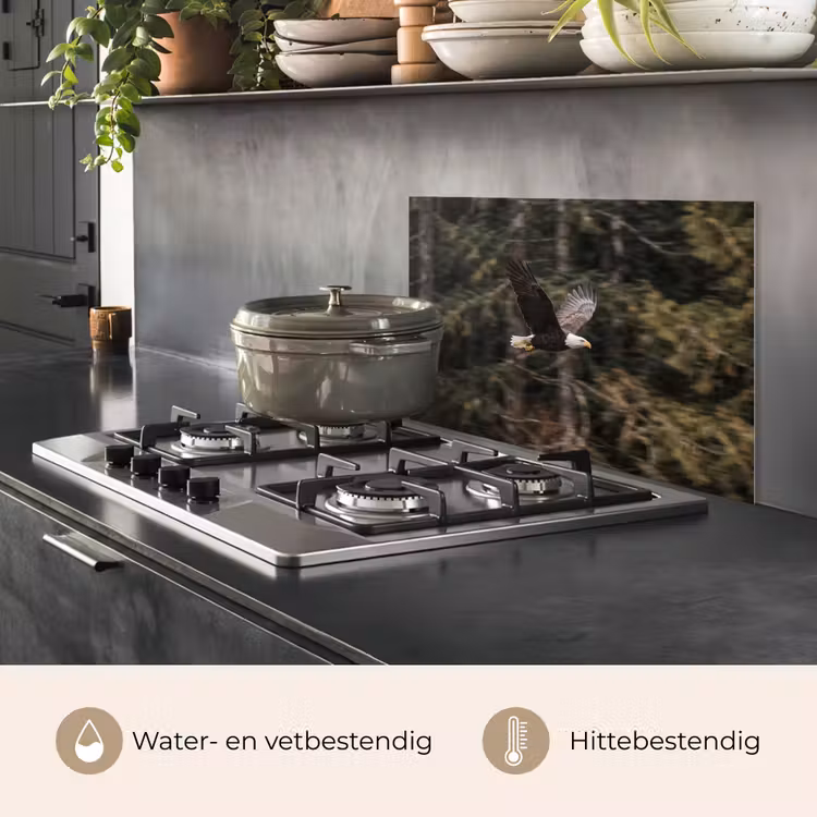 Spatscherm keuken - Zeearend - Vliegen - Bos - Natuur — 7