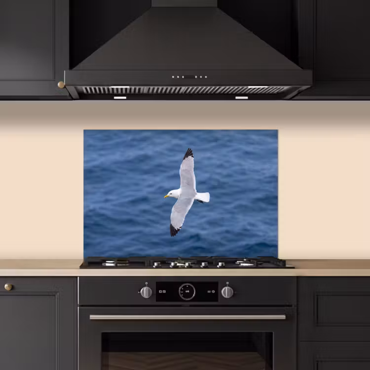 Spatscherm keuken - Zeemeeuw - Oceaan - Blauw — 2