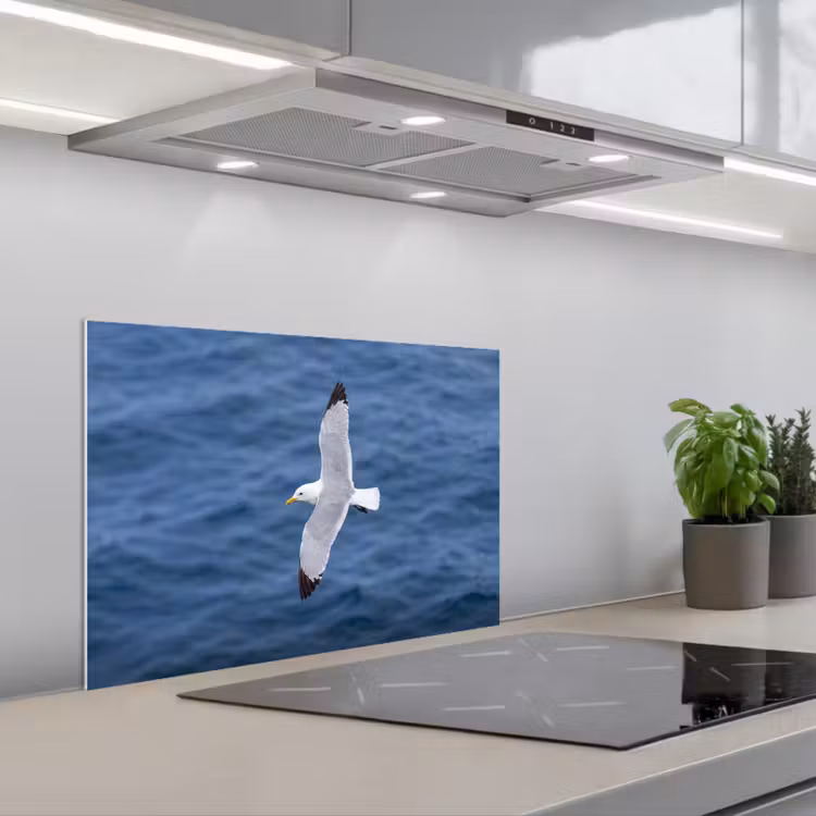 Spatscherm keuken - Zeemeeuw - Oceaan - Blauw — 5