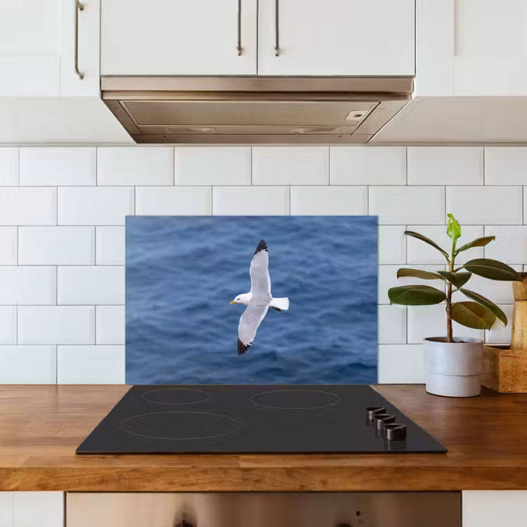 Spatscherm keuken - Zeemeeuw - Oceaan - Blauw — 6