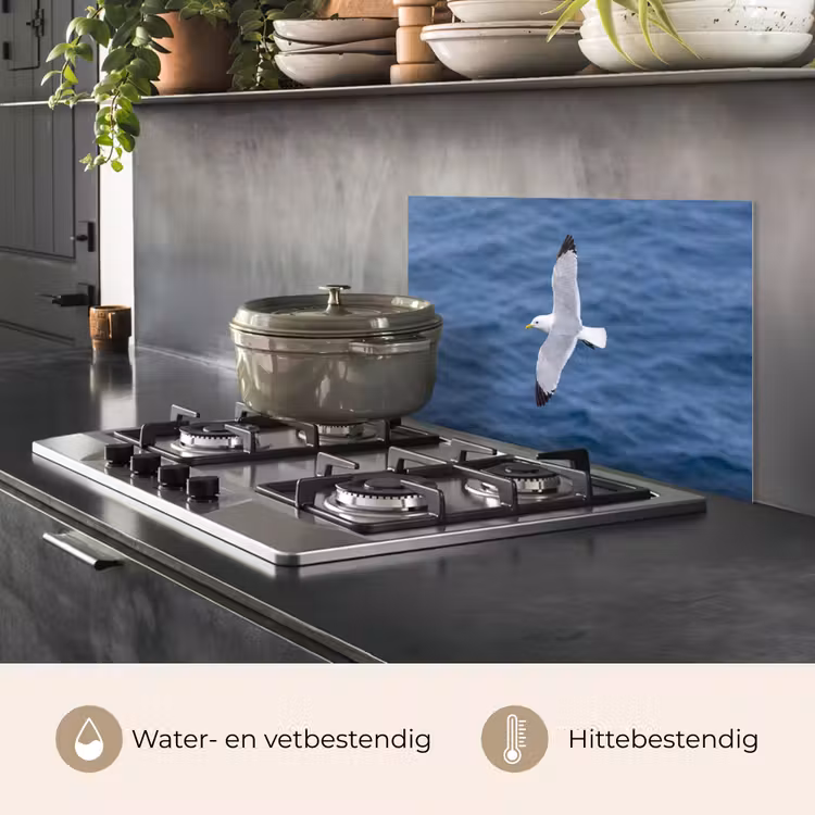 Spatscherm keuken - Zeemeeuw - Oceaan - Blauw — 7