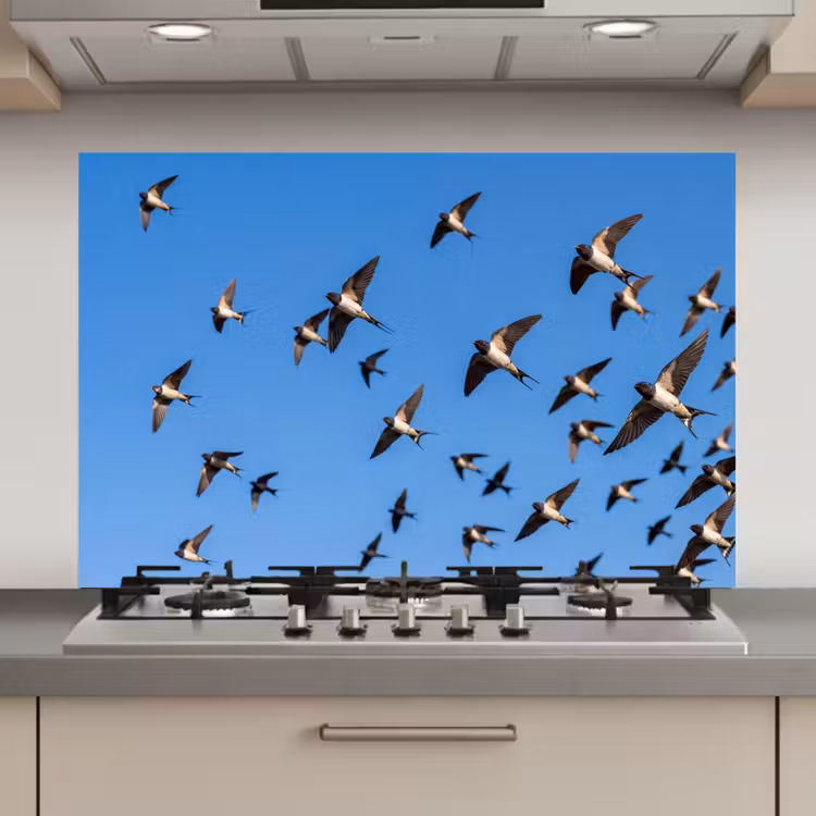 Spatscherm keuken - Zwaluwen - Vliegen - Blauw — 1