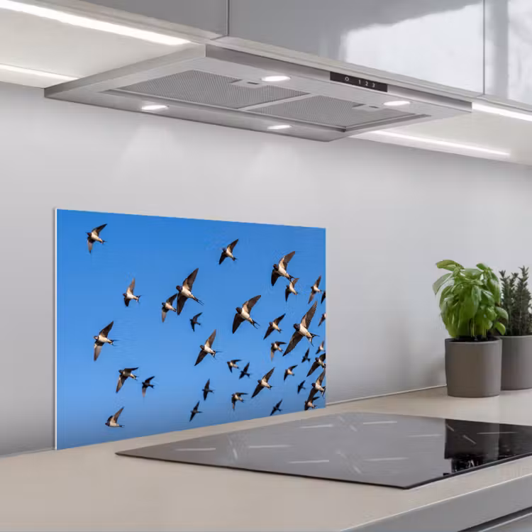 Spatscherm keuken - Zwaluwen - Vliegen - Blauw — 5