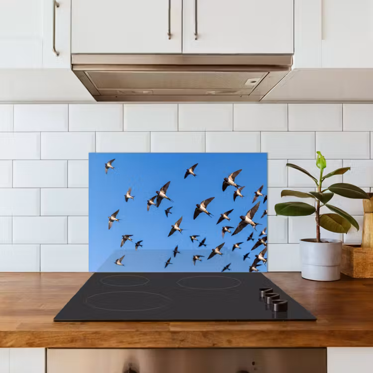 Spatscherm keuken - Zwaluwen - Vliegen - Blauw — 6