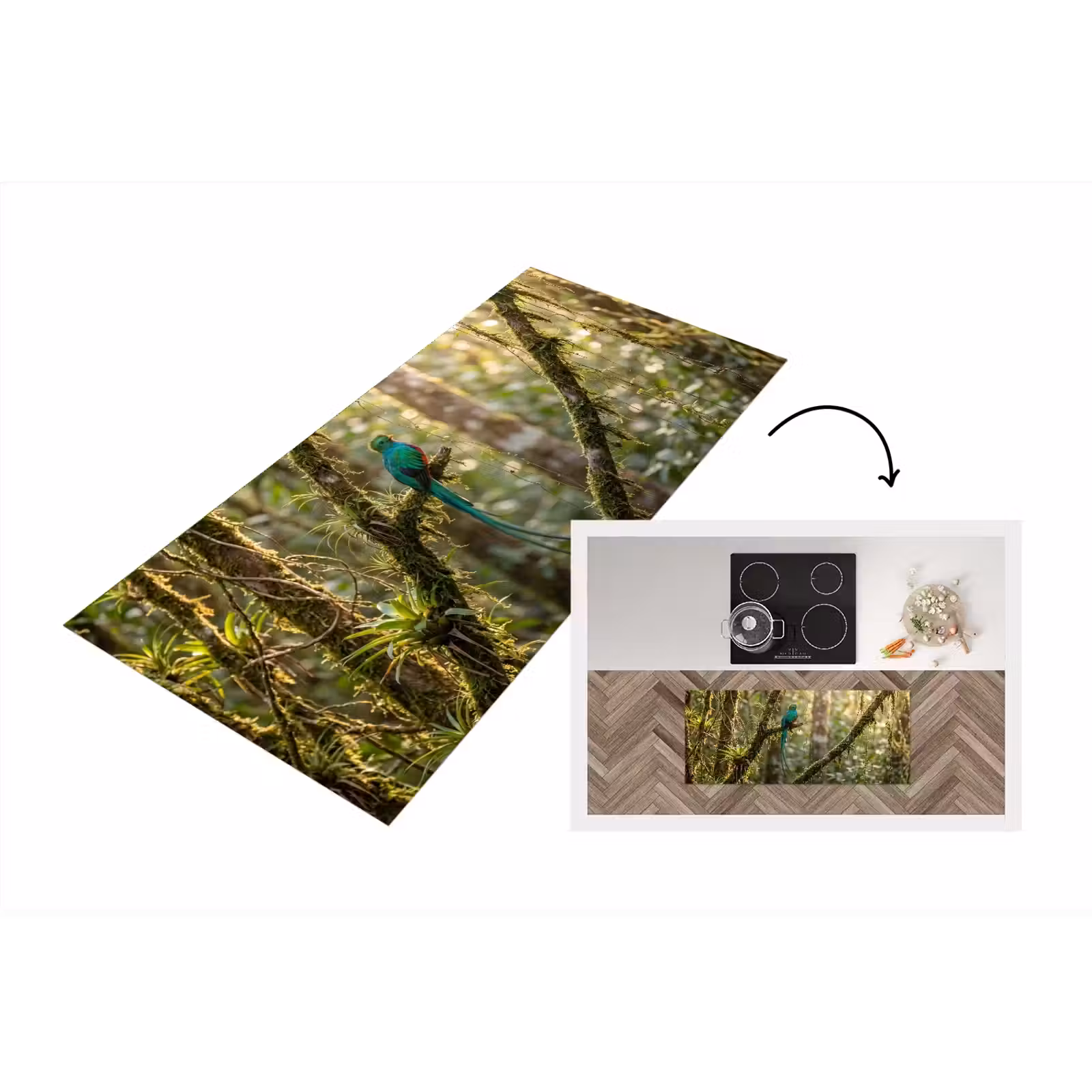 Keukenloper - Quetzal - Jungle - Natuur - Groen — 1