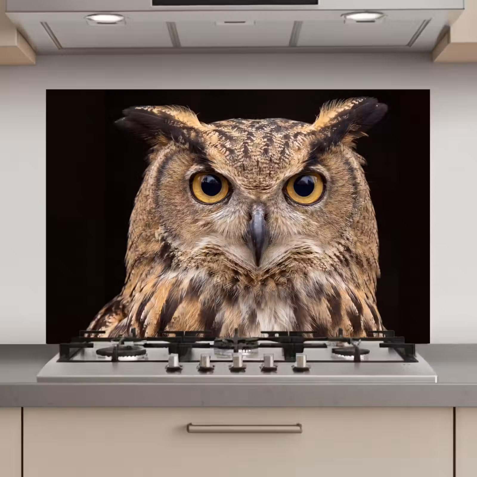 Spatscherm keuken - Oehoe - Uil - Portret - Bruin — 1