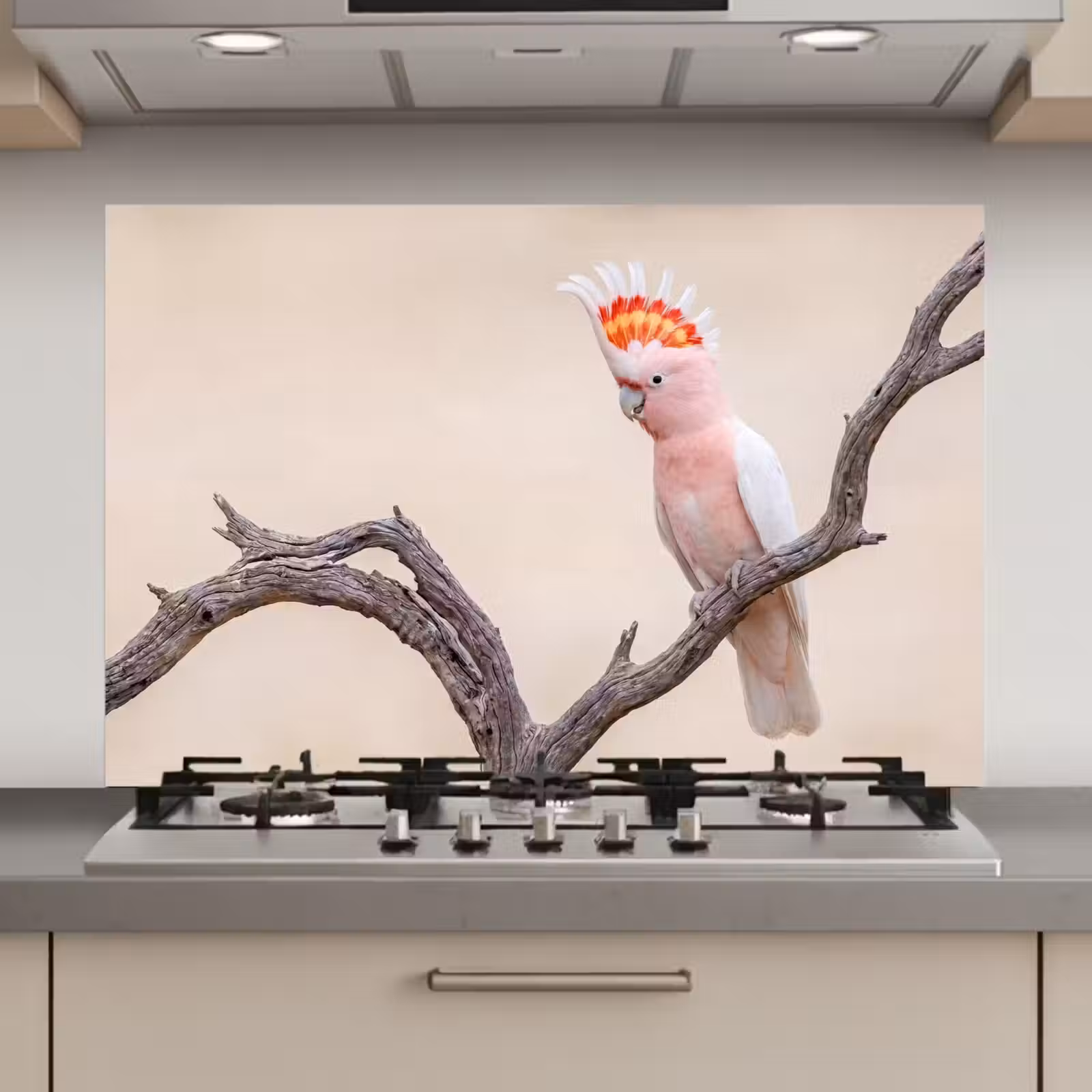Spatscherm keuken - Papagaai - Tak - Roze — 1