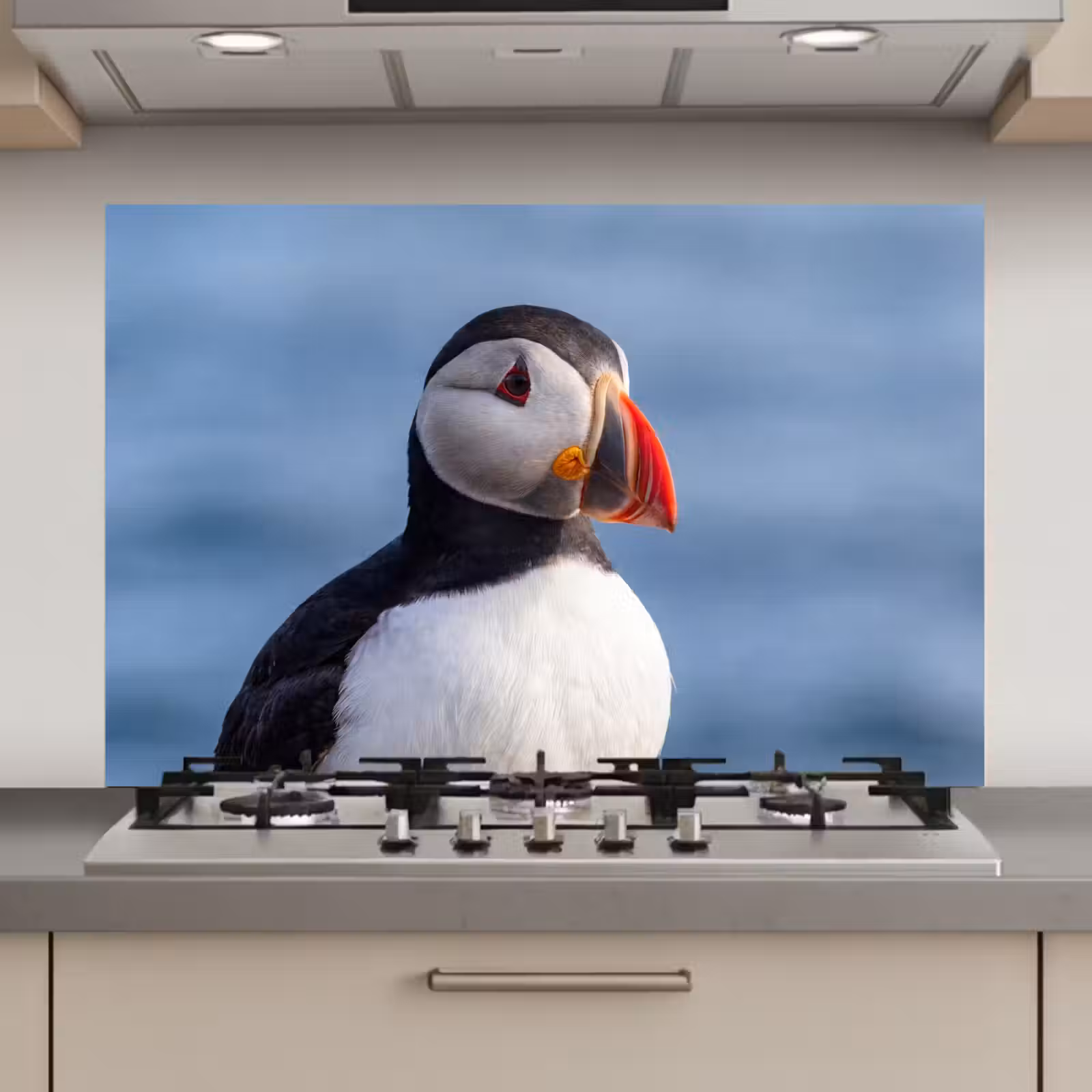 Spatscherm keuken - Papegaaiduiker - Portret - Natuur — 1