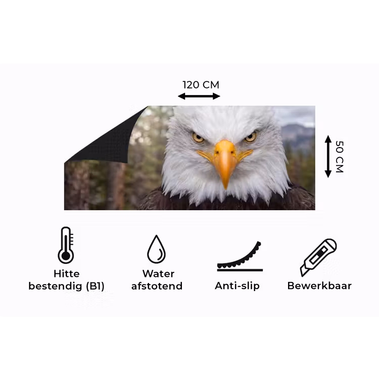 Keukenloper - Amerikaans - Zeearend - Portret - Geel — 5