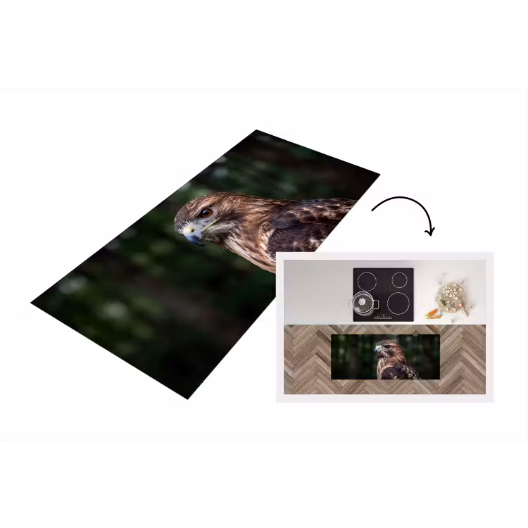 Keukenloper - Buizerd - Roofvogel - Natuur - Bruin — 1