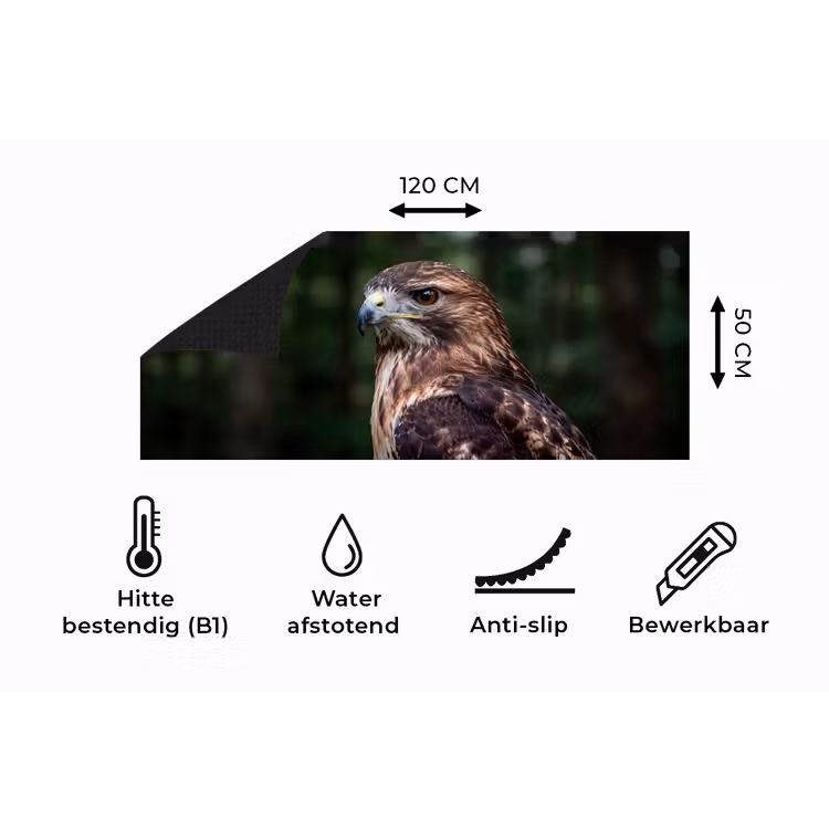 Keukenloper - Buizerd - Roofvogel - Natuur - Bruin — 5