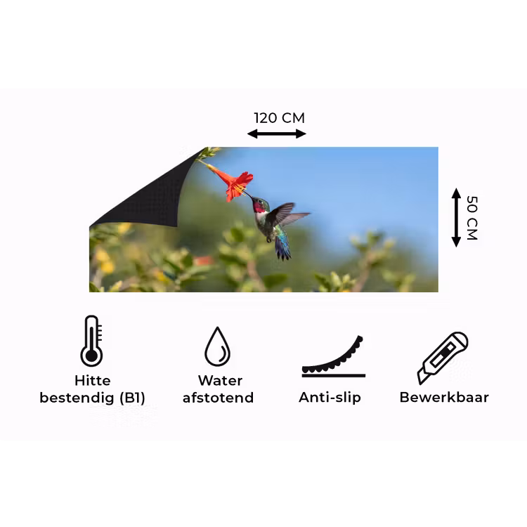 Keukenloper - Kolibrie - Bloem - Natuur - Groen — 5