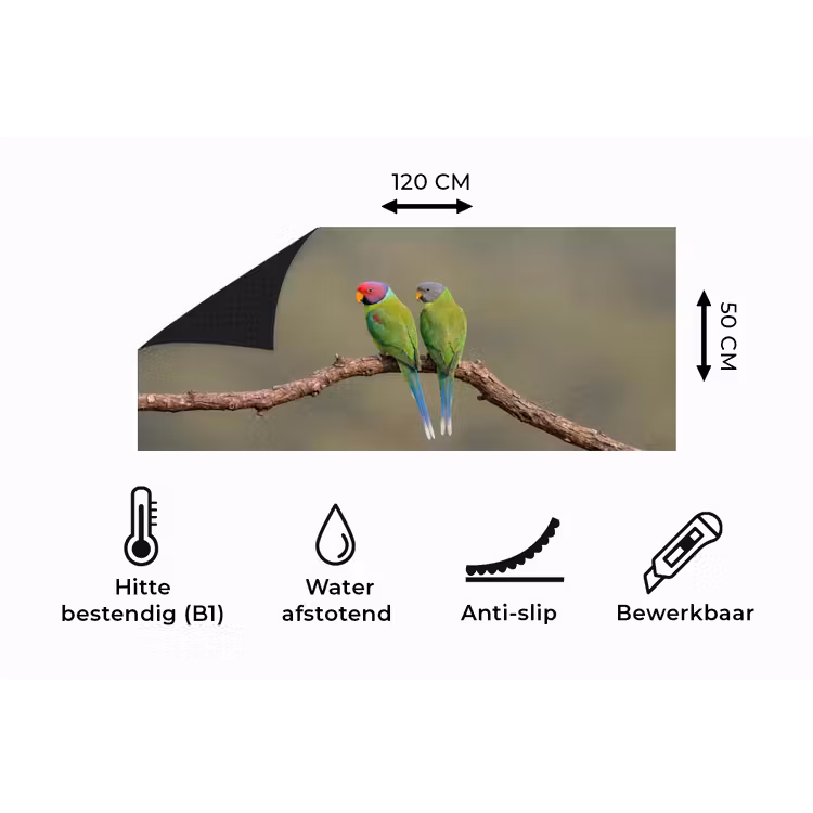 Keukenloper - Papagaai - Tak - Natuur - Kleurrijk — 5