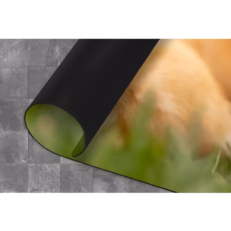 Keukenloper - Pijltje - Eend - Natuur - Geel — 4