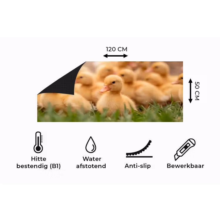 Keukenloper - Pijltje - Eend - Natuur - Geel — 5