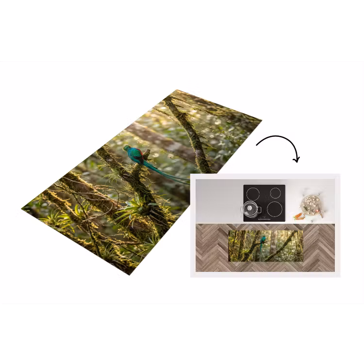 Keukenloper - Quetzal - Jungle - Natuur - Groen — 1
