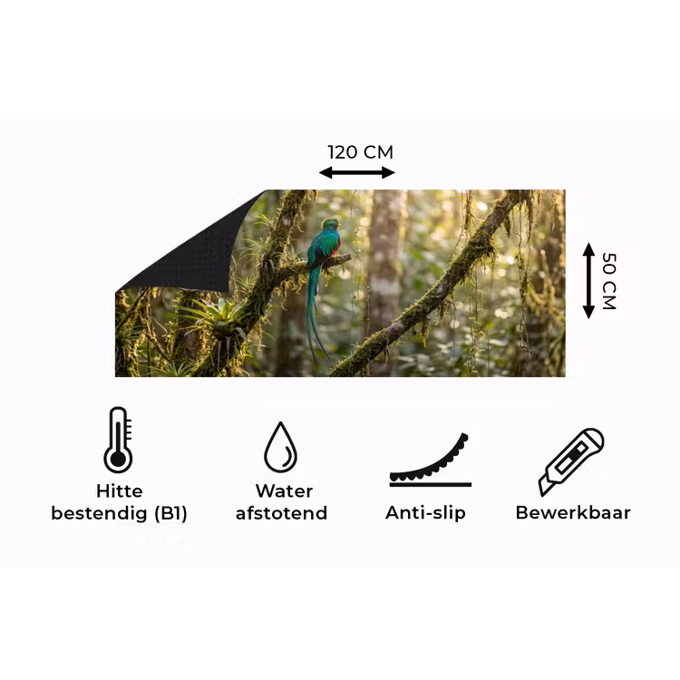 Keukenloper - Quetzal - Jungle - Natuur - Groen — 5