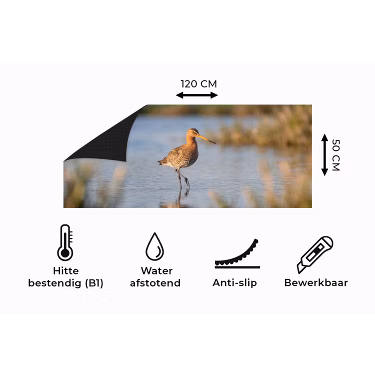 Keukenloper - Vogel - Steltloper - Water - Natuur — 5