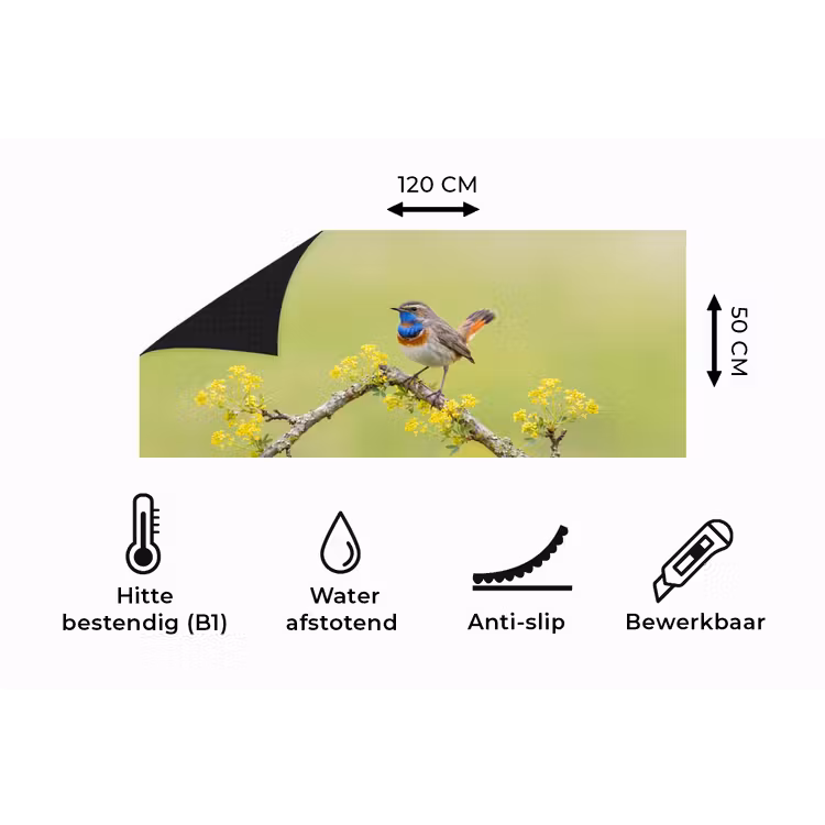 Keukenloper - Vogel - Tak - Natuur - Kleurrijk — 5
