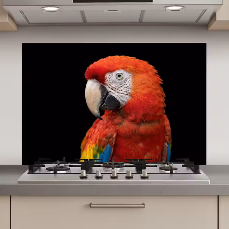 Spatscherm keuken - Ara - Portret - Rood — 1