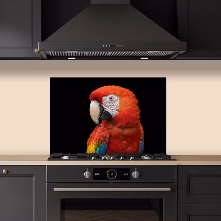 Spatscherm keuken - Ara - Portret - Rood — 2
