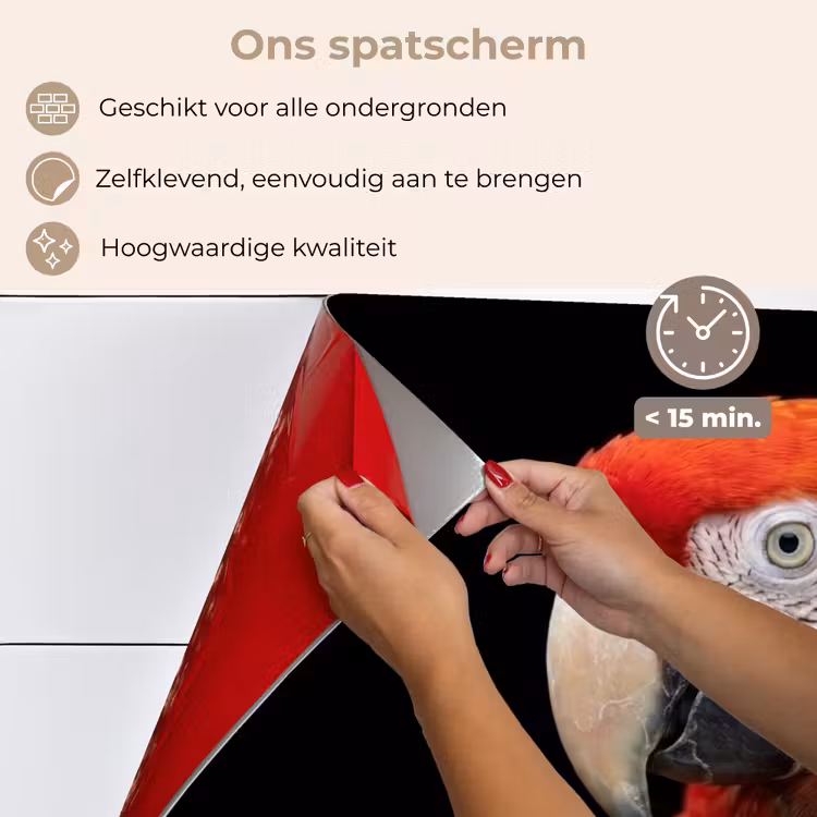 Spatscherm keuken - Ara - Portret - Rood — 4