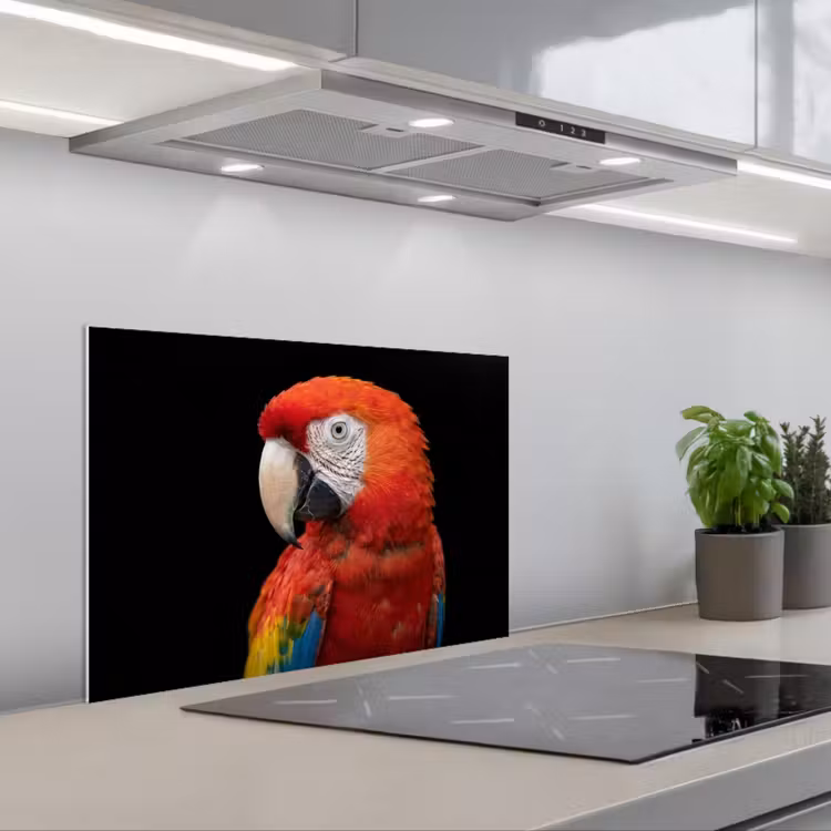 Spatscherm keuken - Ara - Portret - Rood — 5