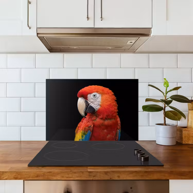 Spatscherm keuken - Ara - Portret - Rood — 6