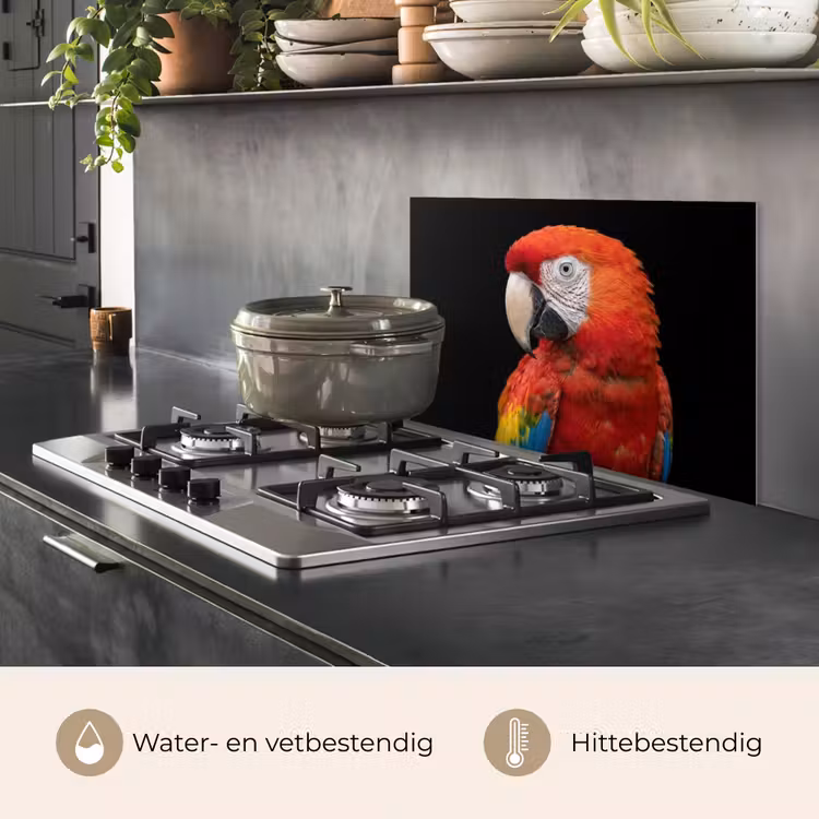 Spatscherm keuken - Ara - Portret - Rood — 7