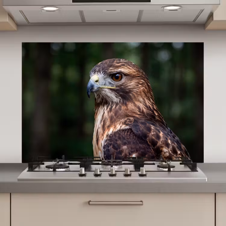 Spatscherm keuken - Buizerd - Roofvogel - Natuur - Bruin — 1