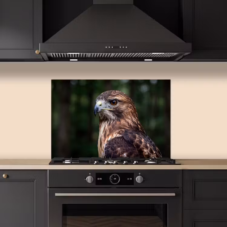 Spatscherm keuken - Buizerd - Roofvogel - Natuur - Bruin — 2