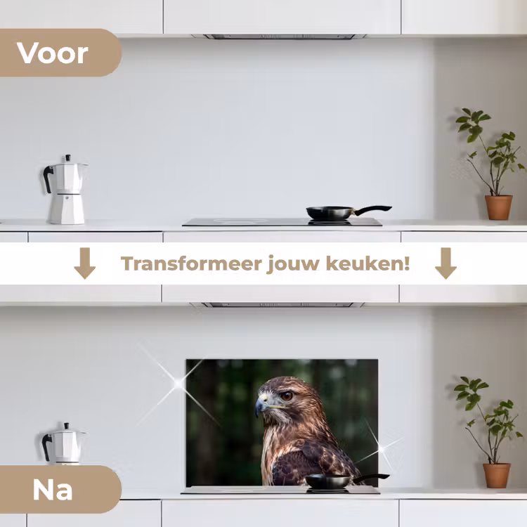 Spatscherm keuken - Buizerd - Roofvogel - Natuur - Bruin — 3