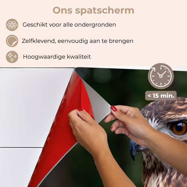 Spatscherm keuken - Buizerd - Roofvogel - Natuur - Bruin — 4