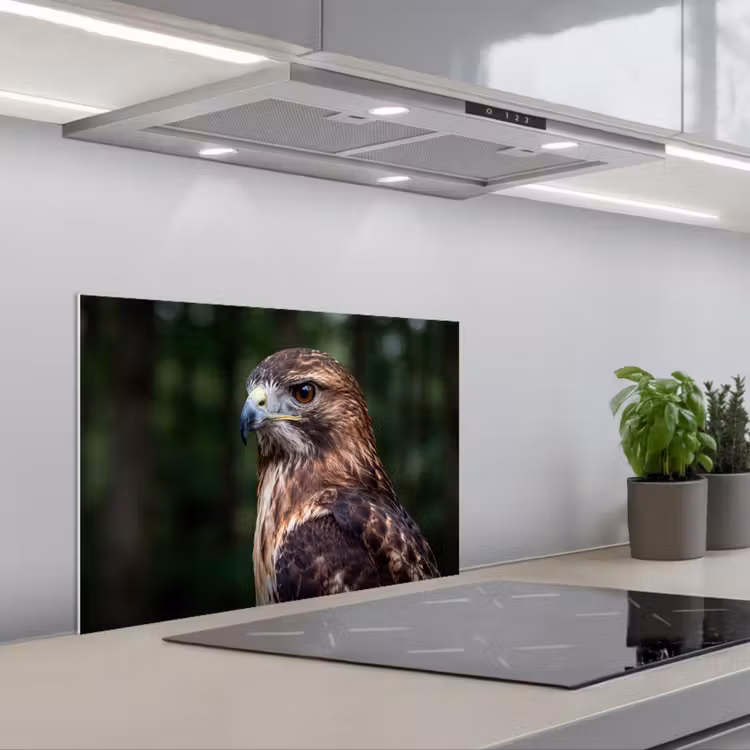 Spatscherm keuken - Buizerd - Roofvogel - Natuur - Bruin — 5