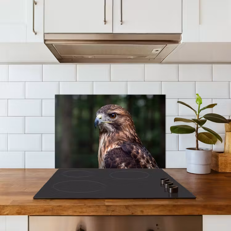 Spatscherm keuken - Buizerd - Roofvogel - Natuur - Bruin — 6